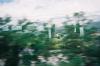 thumbs/f1000001.jpg
